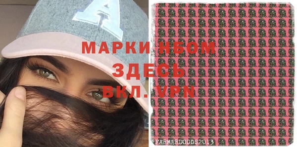 гашик Нефтекумск