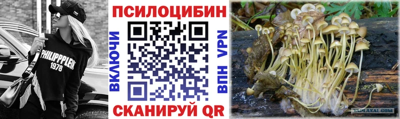 мориарти телеграм  сколько стоит  Балаково  Галлюциногенные грибы GOLDEN TEACHER  МЕГА как зайти 