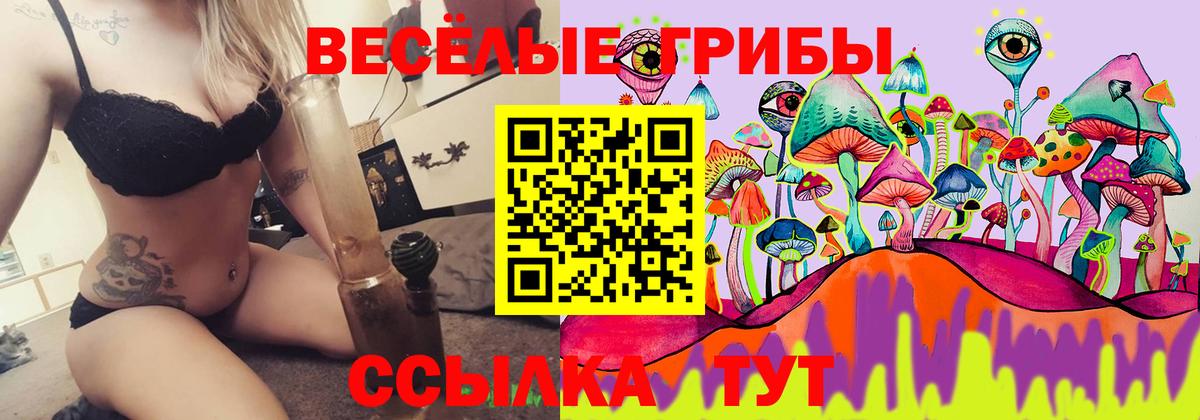 Бошки Шишки Балаково