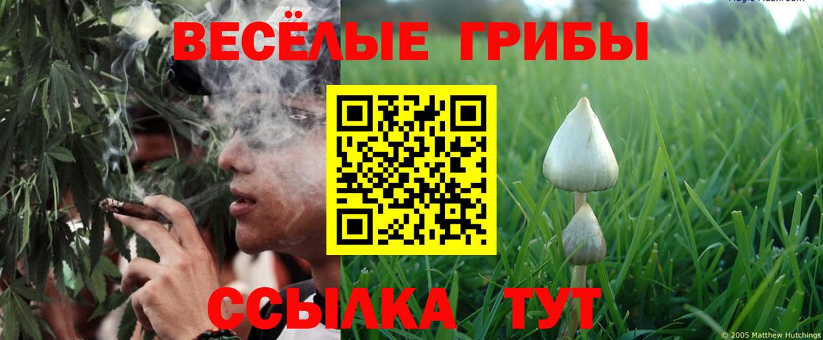 Балаково  Псилоцибиновые грибы мицелий  Вход с VPN  Псилоцибиновые грибы Magic Shrooms 
